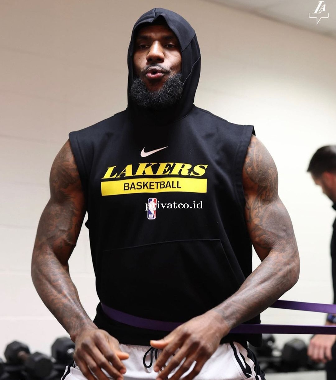 Elon Musk membayar verifikasi LeBron James, pemain basket terkenal dunia