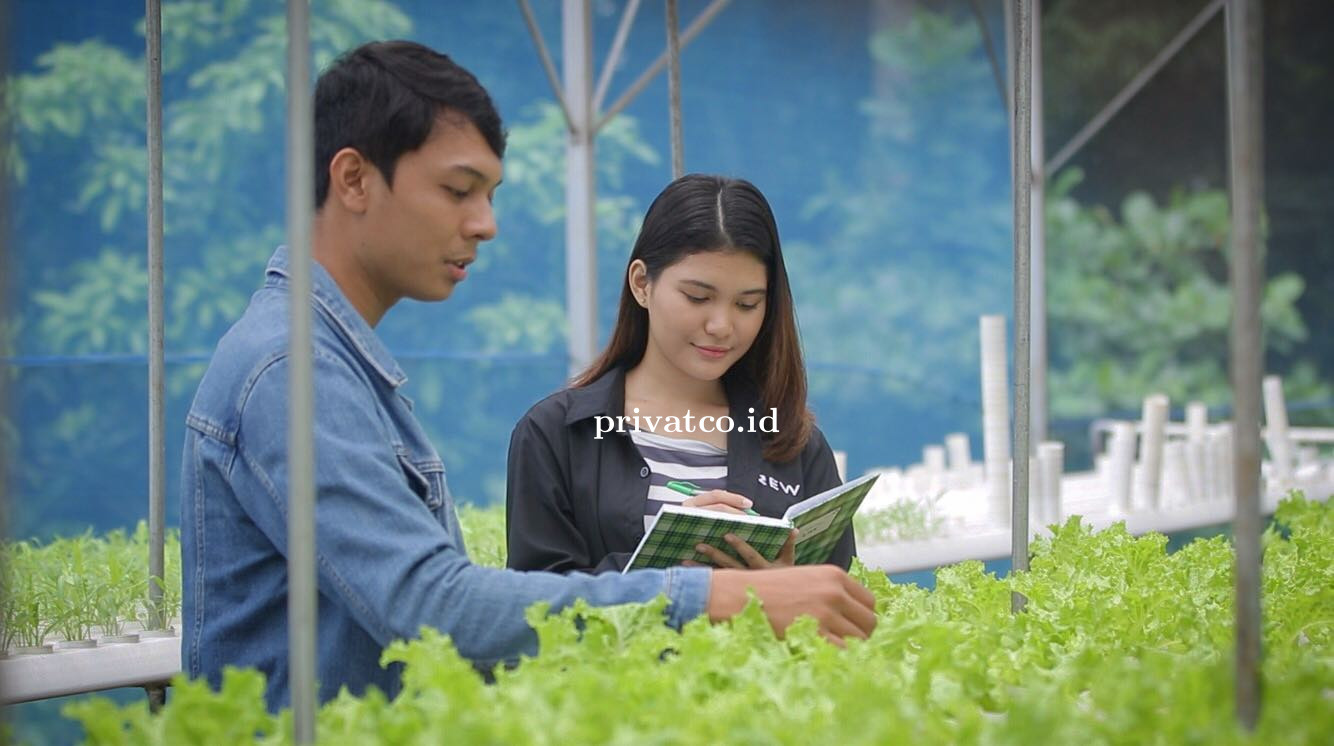 Kenali Perbedaan SNMPTN dan SBMPTN