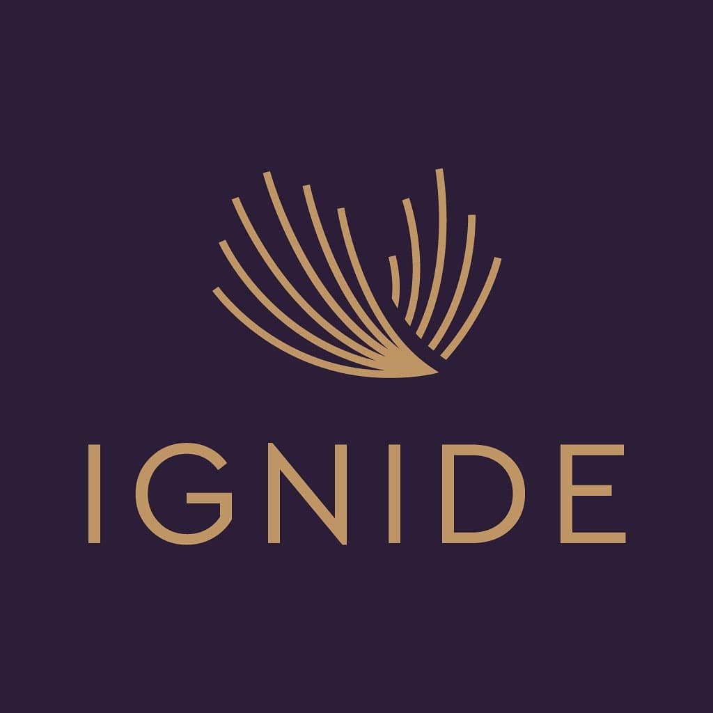 Social Media Executive