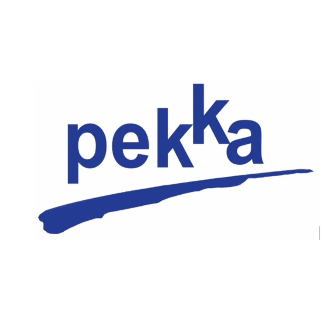 Early Childhood Development (ECD) Consultant