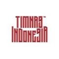 timnas indonesia
