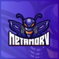 METAMORV ESPORT