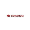 cerebrum